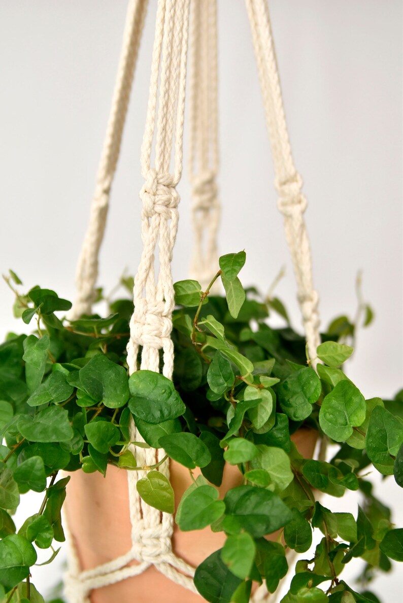 Small macrame plant hanger / natural white / suspended planter/ hanging flower pot / pot hanger / plant holder /natural cotton/Bruman Design image 3