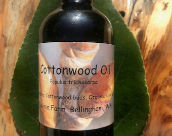 Cottonwood bud oil - Balm of Gilead 2oz