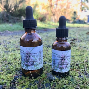 Siberian Motherwort Tincture - Leonurus sibiricus