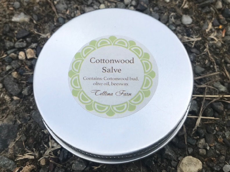 Cottonwood Bud Salve Balm of Gilead 1oz 2oz Etsy