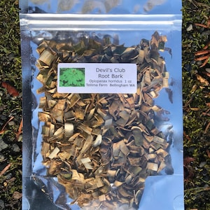 Devil's club - Oplopanax horridus dried root bark