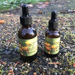 California Poppy Tincture - Eschscholzia californica