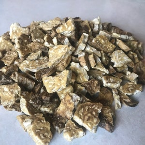 Lomatium dried root - Lomatium dissectum