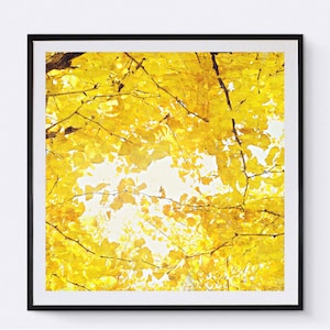 Original Yellow Ginkgo print, corridor oil painting, Ginkgo Leaves Print Ginko Biloba Leaves Wall Art Leaves, yellow painting, Scandinave