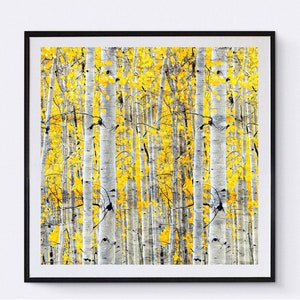 Birch Grove print, Birch tree art print, downloadable, Rustic Art Forest Print Country Print, Tree Photography corridor oil painting