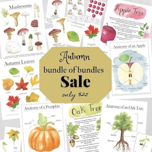 Mega Sale Bundle of Bundles - Fall | Charlotte Mason, Homeschool, Printable, Fall, Nature School