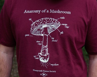 Adult Anatomy of a Mushroom T-shirt | Nature School Teacher Homeschool co-op Educational Charlotte Mason Waldorf Unisex Wild and Free Gift