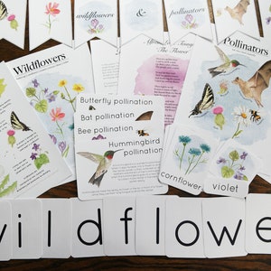 Wildflower and Pollinator Bundle | Charlotte Mason Homeschool Educational Nature Printable Set