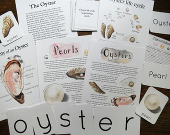 Ensemble éducatif huîtres et perles | Charlotte Mason Nature imprimable
