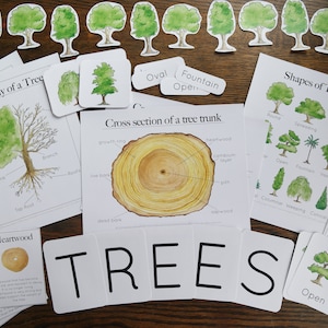 Tree studies bundle Nature study, Charlotte Mason, Homeschool, Printable image 1