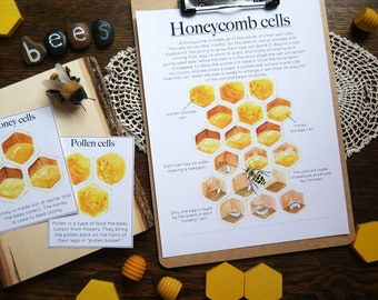 Honey bee Honeycomb mini poster and cards - digital download