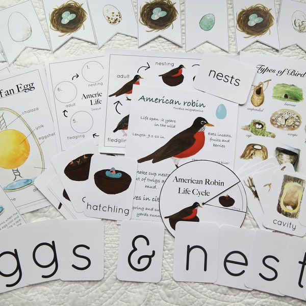 Nesting birds mega bundle | Nature study, Charlotte Mason, Homeschool, Printable