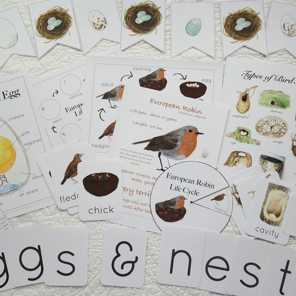 Nesting birds (European Robin) mega bundle | Charlotte Mason Homeschool Nature Studies Educational Printable