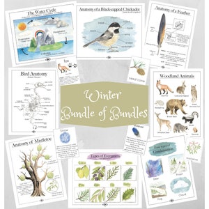 Winter Mega Bundle of Bundles | Homeschool Charlotte Mason Nature Table Educational Unit Waldorf Bird Weather Evergreen Animals Mistletoe