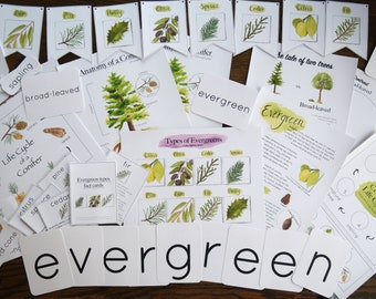 Evergreen Bundle | Charlotte Mason Nature Journal Educational Printables
