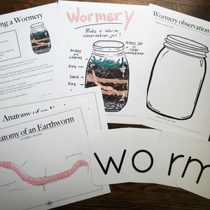 Anatomy of a Worm and Wormery activity with record | Charlotte Mason Nature Educational Printable