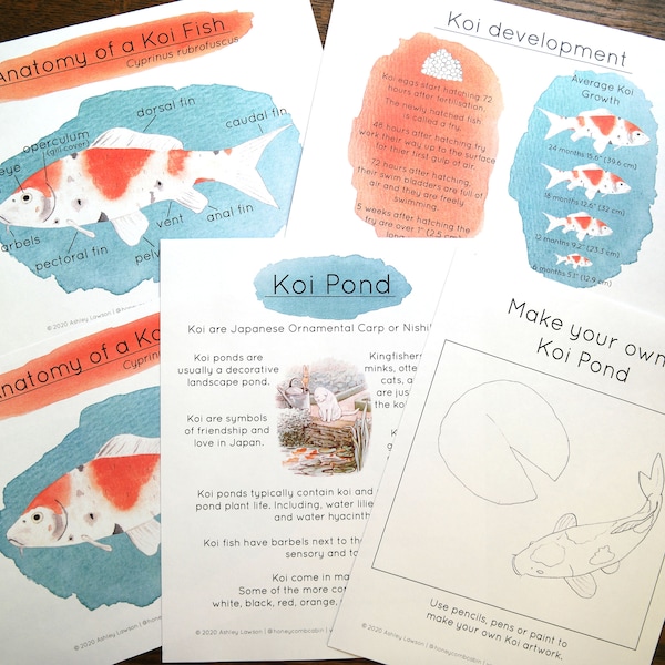 Koi - Etsy