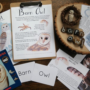Barn Owl mini-study | Charlotte Mason Nature Journal Educational Printable Set