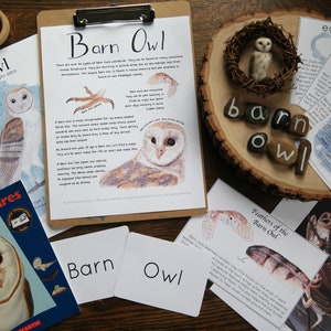 Kerkuil ministudie | Charlotte Mason Nature Journal Educatieve afdrukbare set