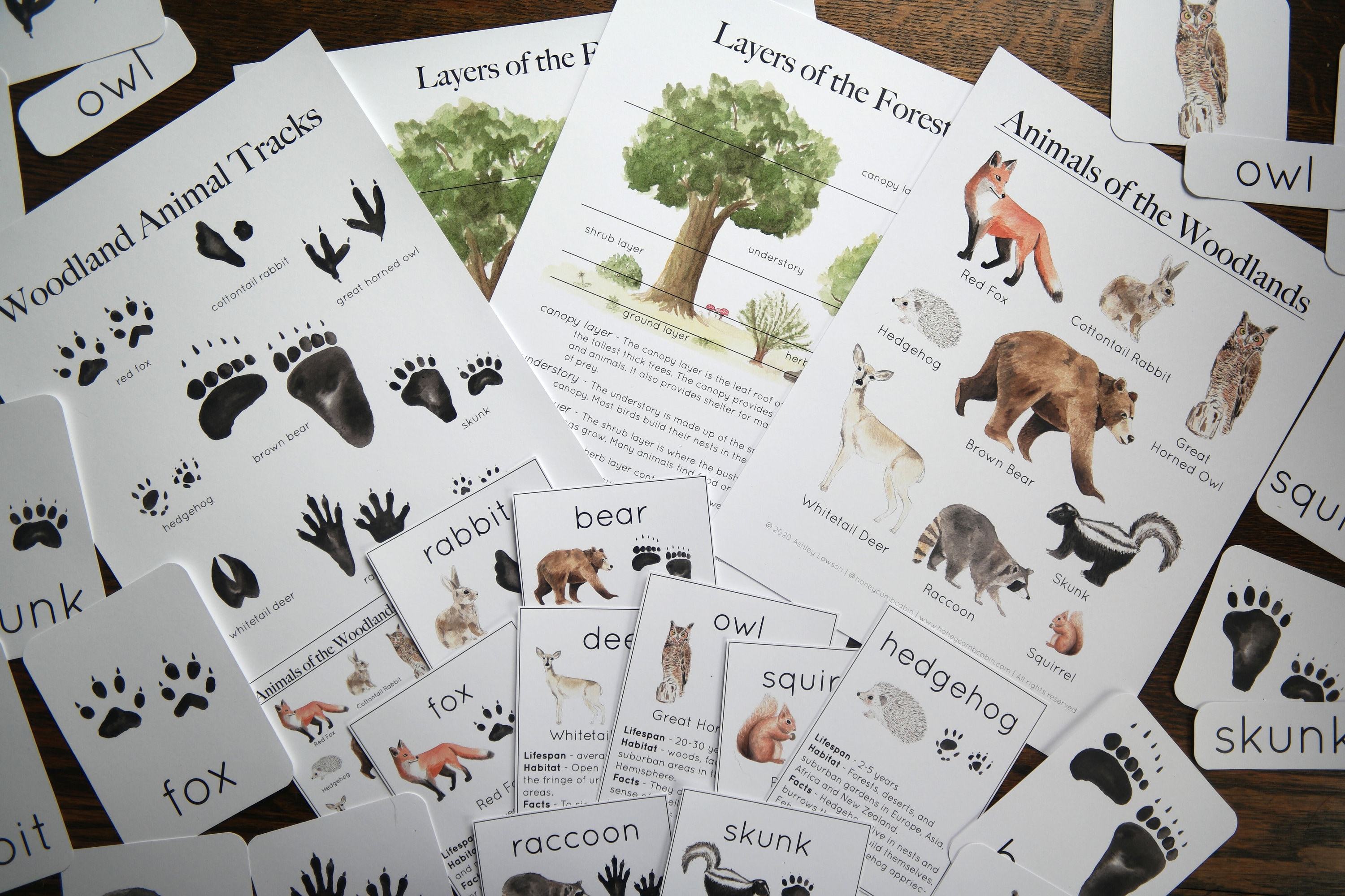 Woodland Forest Bundle Animals Tracks Forest Layers - Etsy Australia Woodland Forest Bundle Animals Tracks Forest Layers - Etsy Australia