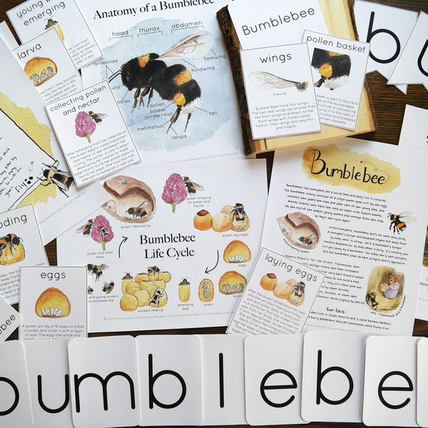 Bumblebee Bundle | Charlotte Mason Nature Journal Educational Printable Set