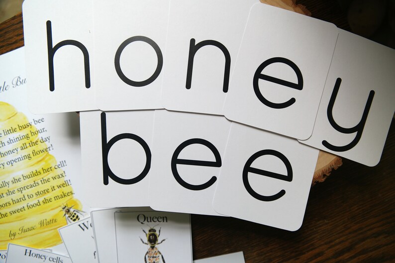 Honey Bee Bundle | Nature Study Charlotte Mason Homeschool Printable - Etsy