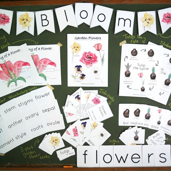 Flower bundle | Charlotte Mason Nature Study Homeschool Printable