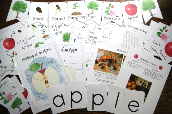 Apple Bundle Nature study Charlotte Mason Homeschool