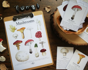 Mushroom guide and fact cards | Charlotte Mason Nature Educational Printable