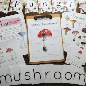 Paquete de hongos / Estudio de la naturaleza, Charlotte Mason, Educación en el hogar, Imprimible