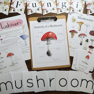 Mushroom bundle | Nature study, Charlotte Mason, Homeschool, Printable