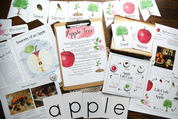 Apple Bundle Autumn Harvest Nature Study Charlotte Mason