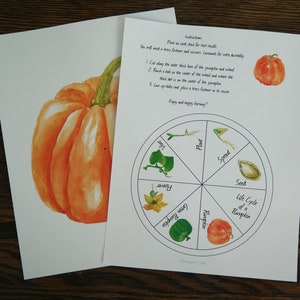Pumpkin life cycle wheel