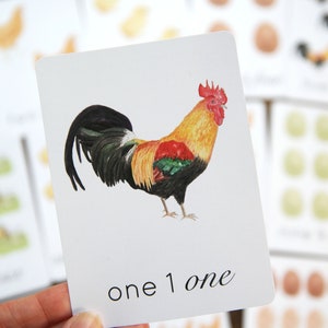 Chicken Early Years Math Set | Charlotte Mason Homeschool Math Manipulative Farm set