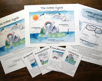 Water Cycle poster, cards, activity and assessment