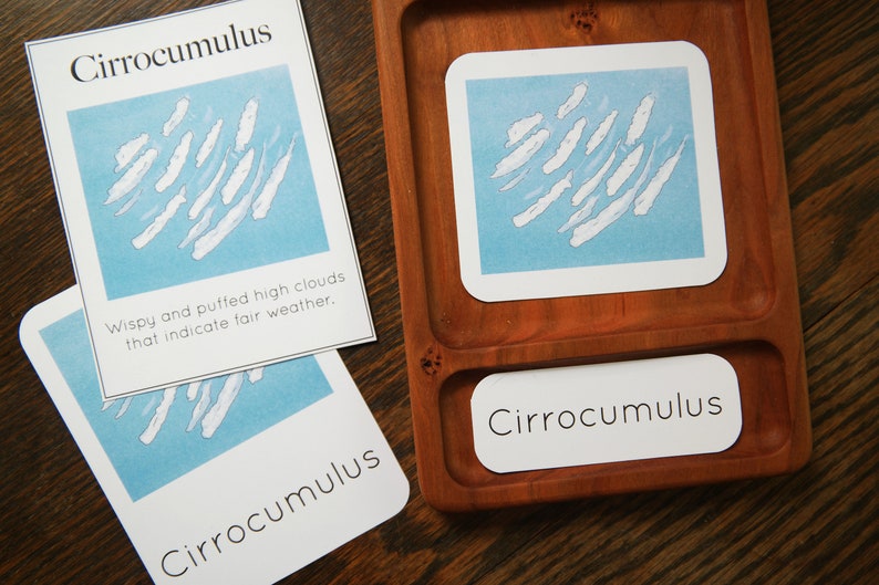Clouds Mini-bundle - Nature Studies 3-part Cards, Mini Poster, Fact ...
