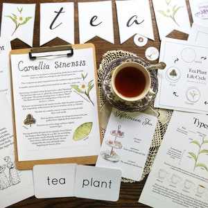 Theebundel | Charlotte Mason Natuurstudies Thee Educatief afdrukbaar