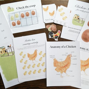 Chicken Early Years Math Set | Charlotte Mason Homeschool Math Manipulative Farm set