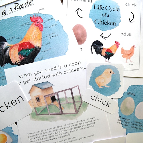 bible-lessons-for-teens-christian-homeschool-curriculum-etsy-finland