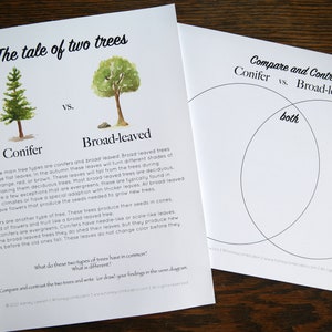 May include: A printable worksheet for comparing and contrasting conifer and broad-leaved trees. The worksheet includes a Venn diagram with the words "Conifer", "Broad-leaved", and "Both" and a description of the two types of trees.