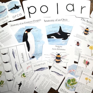 Polar Bundle