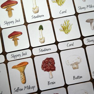 Mushroom 3 Part Cards - 12 Types - Etsy