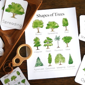 Tree Shapes Set | Charlotte Mason Nature Journal Educational Printable