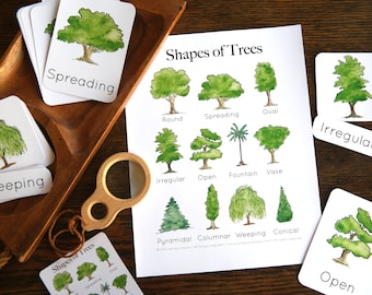 Tree Shapes Set | Charlotte Mason Nature Journal Educational Printable