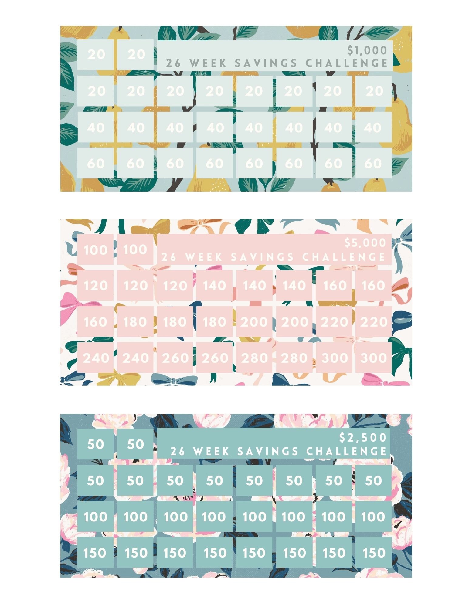 A6 Printable Savings Challenge Bundle - Floral - Etsy