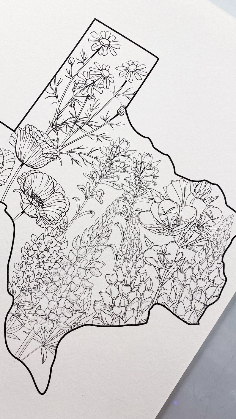 Texas Wildflowers Watercolor Coloring Page - Etsy