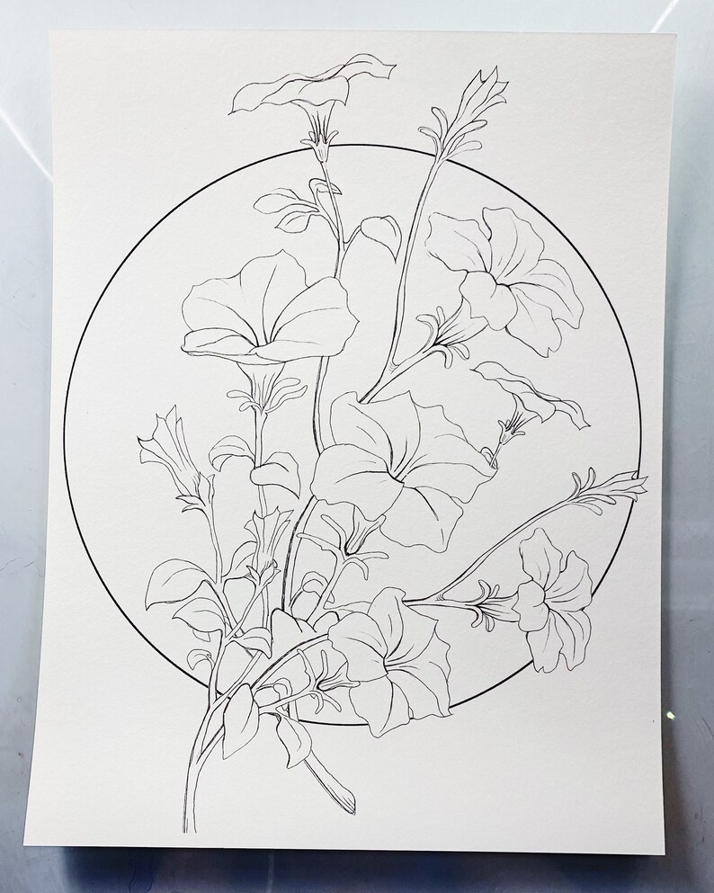 Petunia Watercolor Coloring Page - Etsy