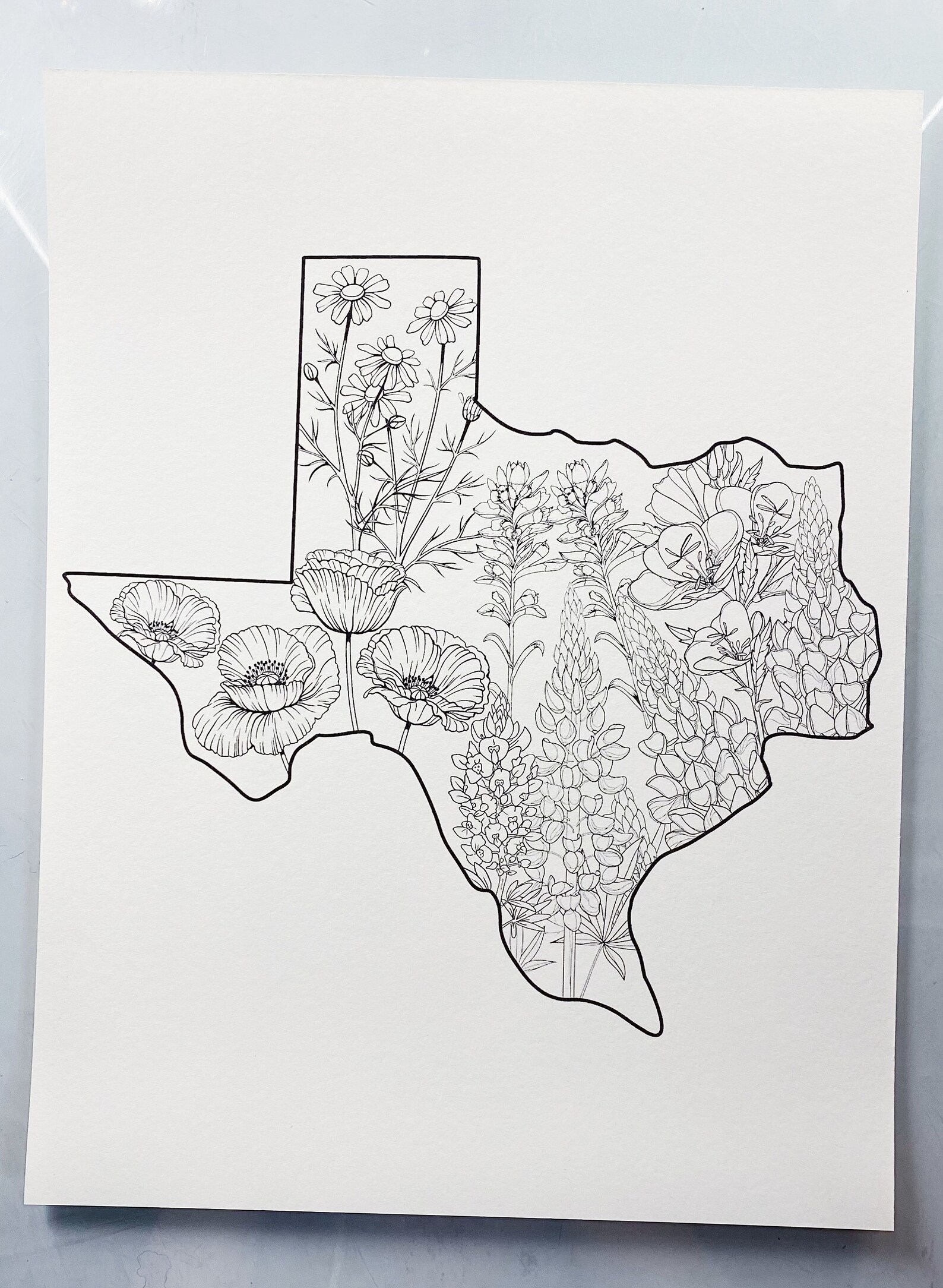 Texas Wildflowers Watercolor Coloring Page Etsy
