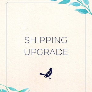 Shipping Upgrade Add-On image 1