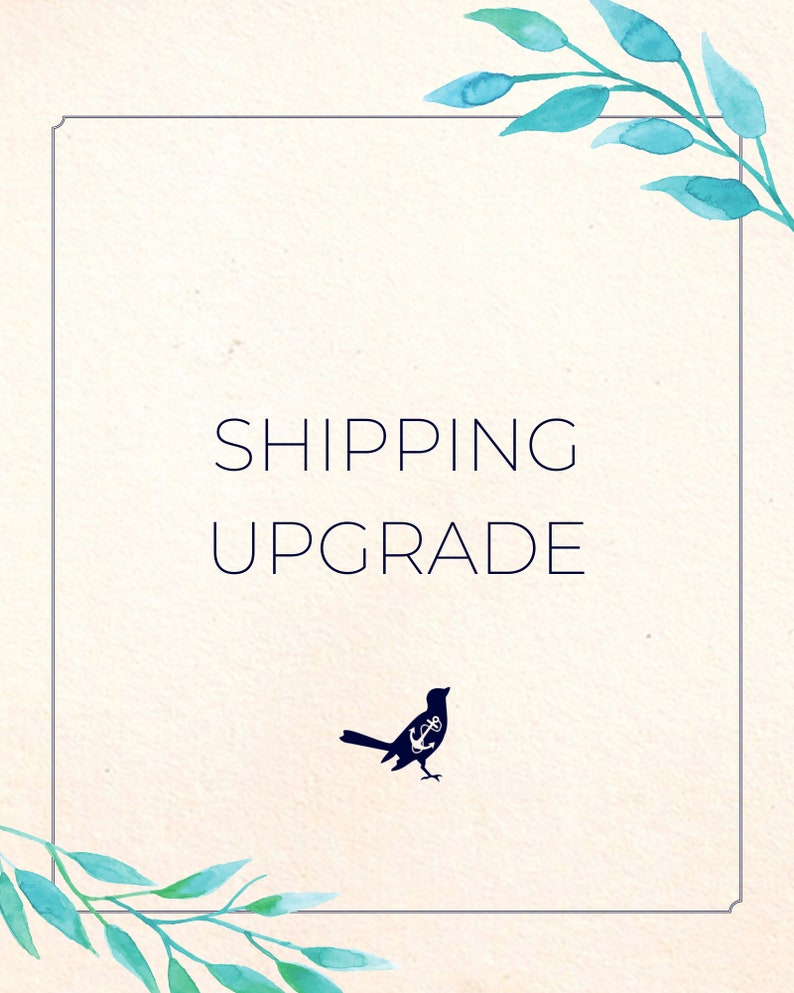 Shipping Upgrade Add-On image 1